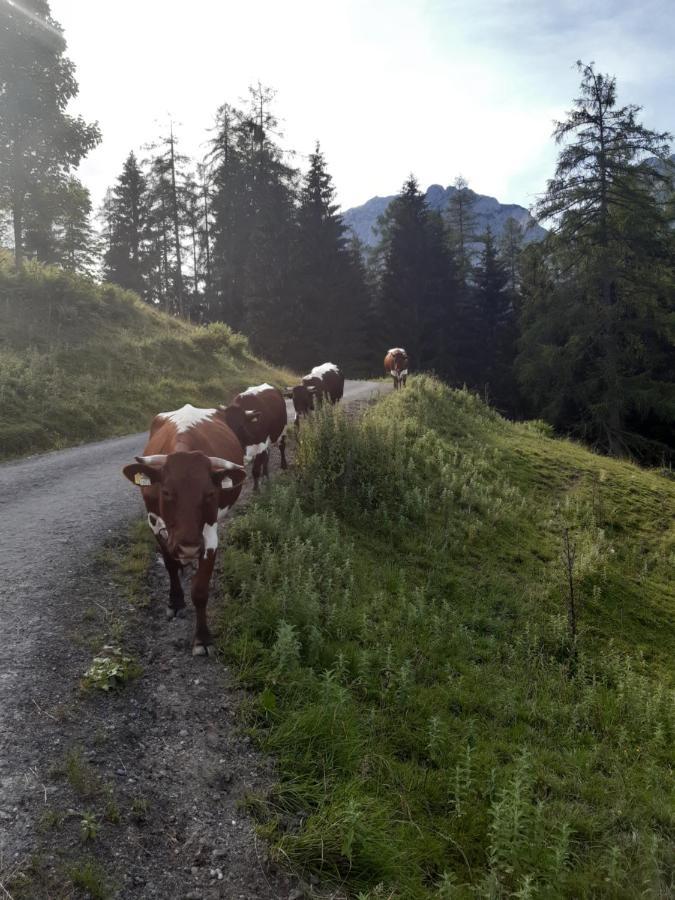 Apartmán Reithgut Sankt Martin am Tennengebirge Exteriér fotografie