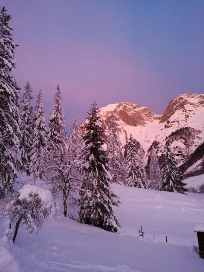 Apartmán Reithgut Sankt Martin am Tennengebirge Exteriér fotografie