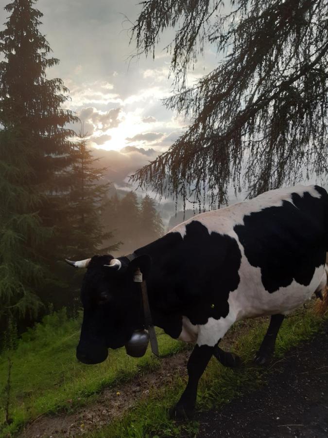 Apartmán Reithgut Sankt Martin am Tennengebirge Exteriér fotografie